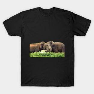 wild, elephant, elephant lover, life T-Shirt